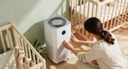 15 Best Air Purifiers for Nurseries in 2027